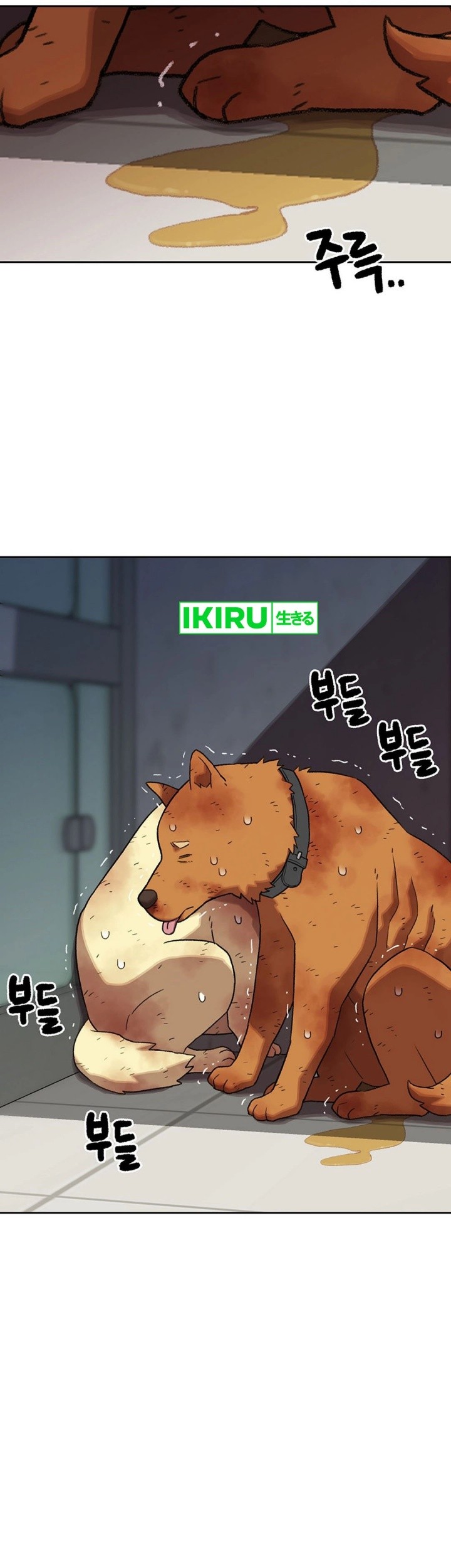 Rainbow Bridge Watchman Chapter 147 Gambar 20