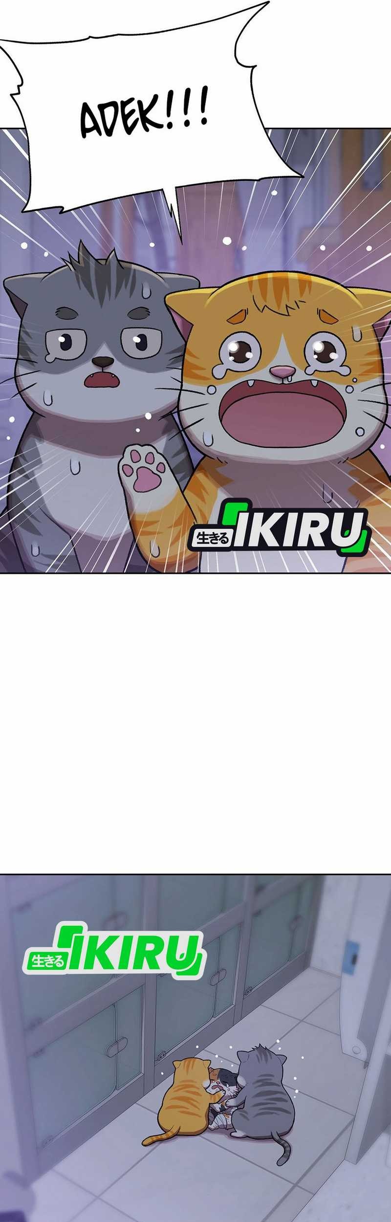 Rainbow Bridge Watchman Chapter 151 Gambar 44