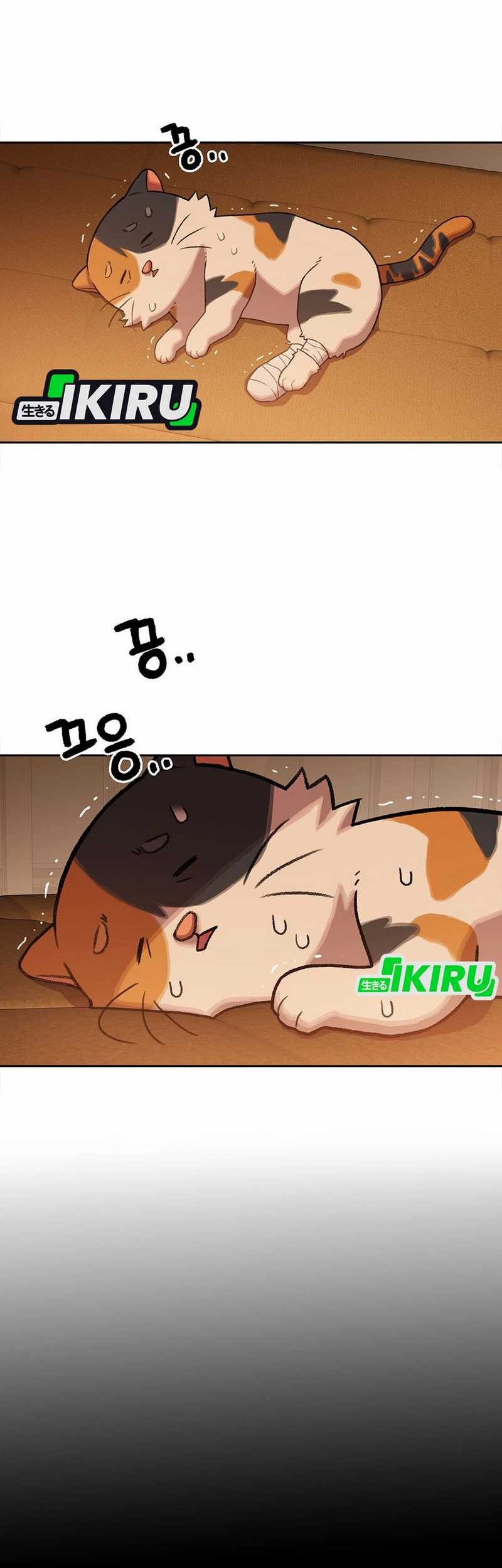 Rainbow Bridge Watchman Chapter 151 Gambar 58