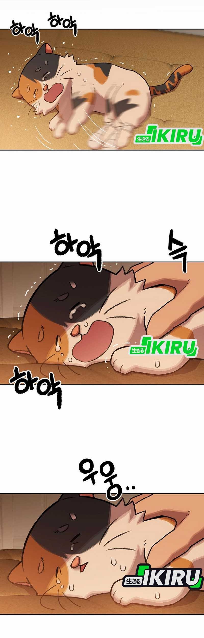 Rainbow Bridge Watchman Chapter 152 Gambar 64