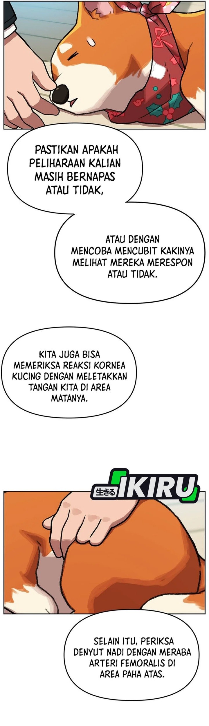 Rainbow Bridge Watchman Chapter 154 Gambar 44