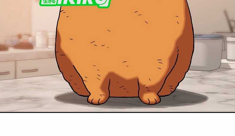 Rainbow Bridge Watchman Chapter 160 Gambar 29