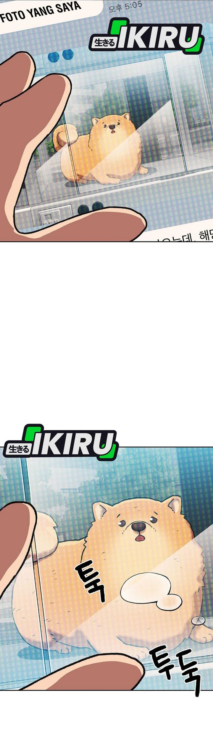 Rainbow Bridge Watchman Chapter 162 Gambar 35