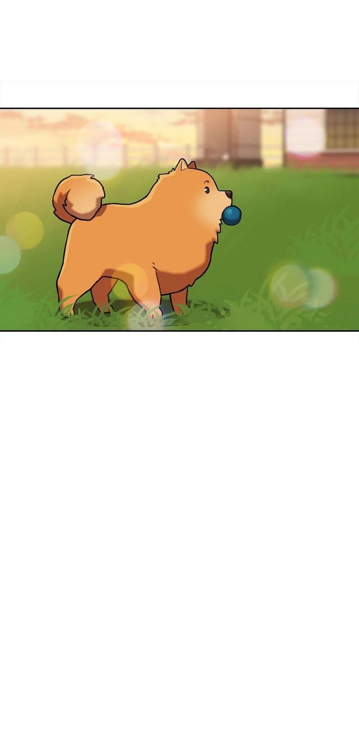 Rainbow Bridge Watchman Chapter 165 Gambar 20