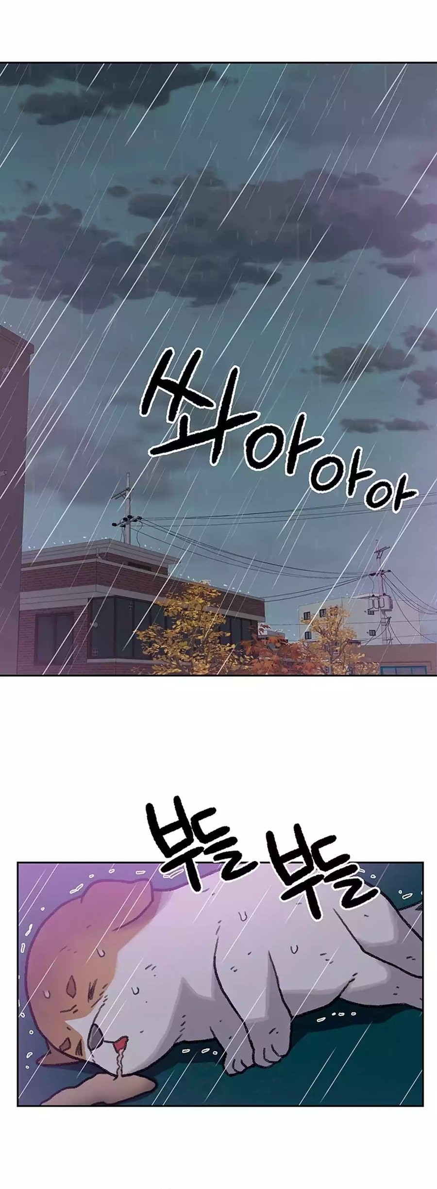 Rainbow Bridge Watchman Chapter 26 Gambar 20