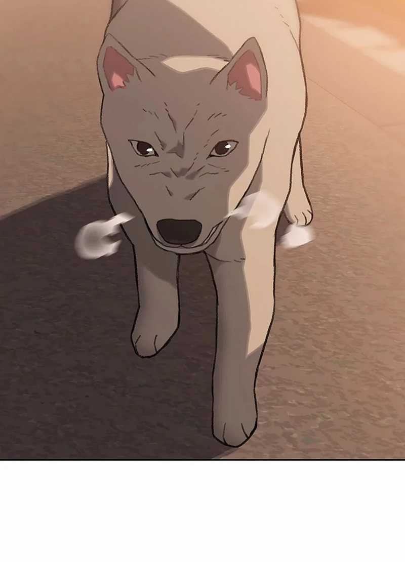 Rainbow Bridge Watchman Chapter 30 Gambar 6