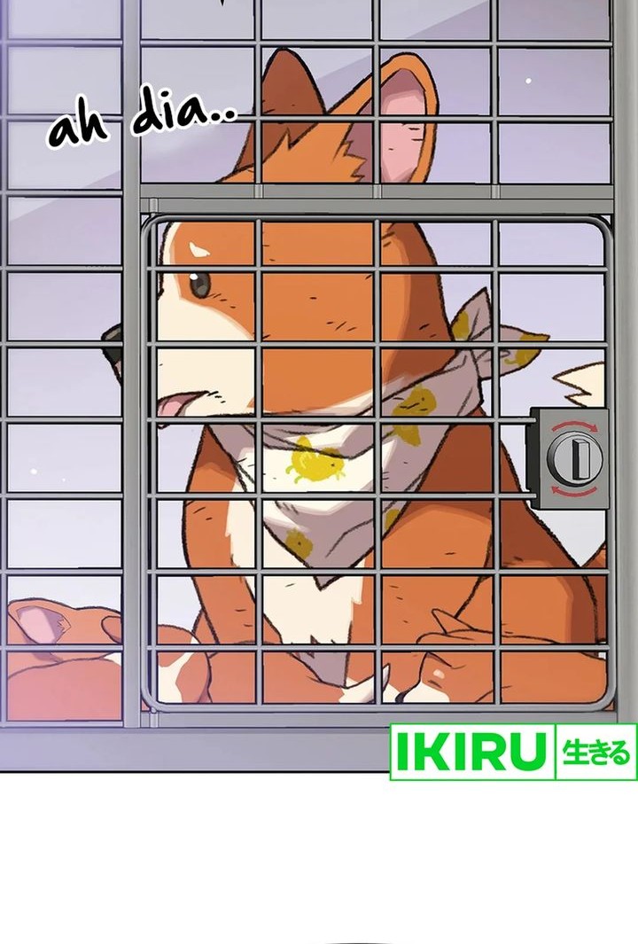 Rainbow Bridge Watchman Chapter 47 Gambar 30