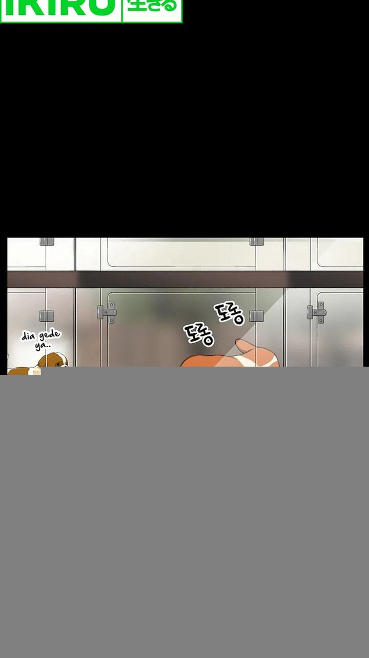 Rainbow Bridge Watchman Chapter 47 Gambar 4