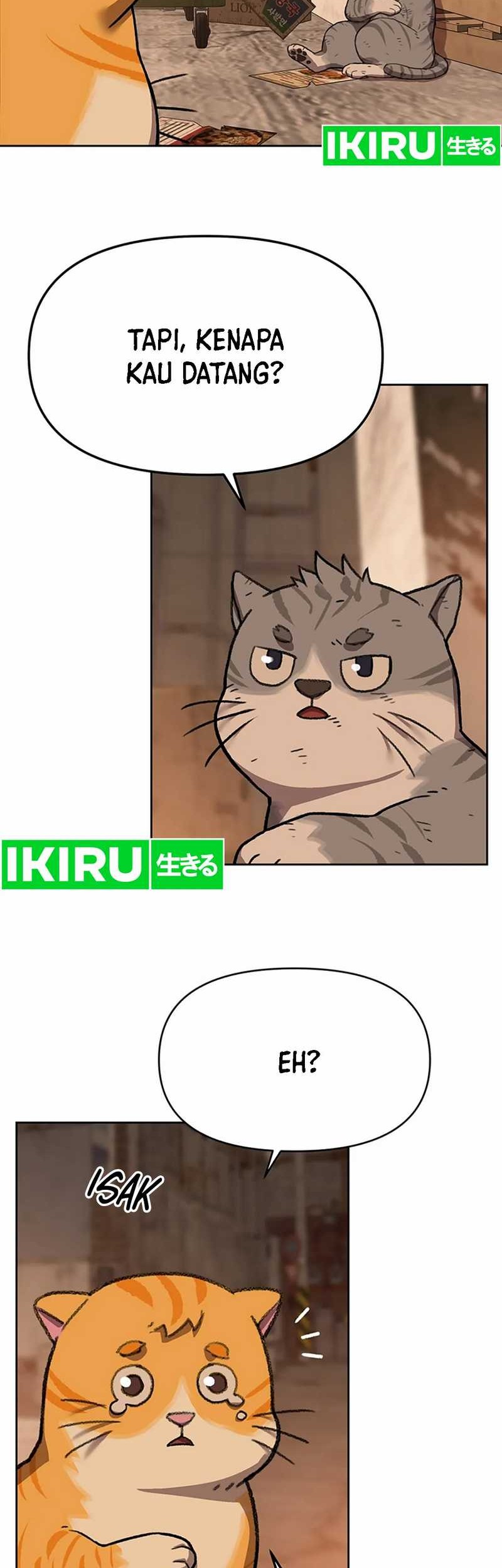 Rainbow Bridge Watchman Chapter 51 Gambar 23