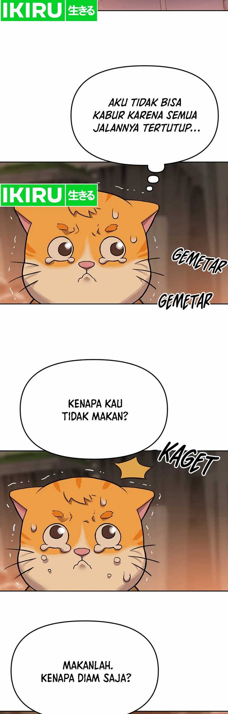 Rainbow Bridge Watchman Chapter 52 Gambar 13