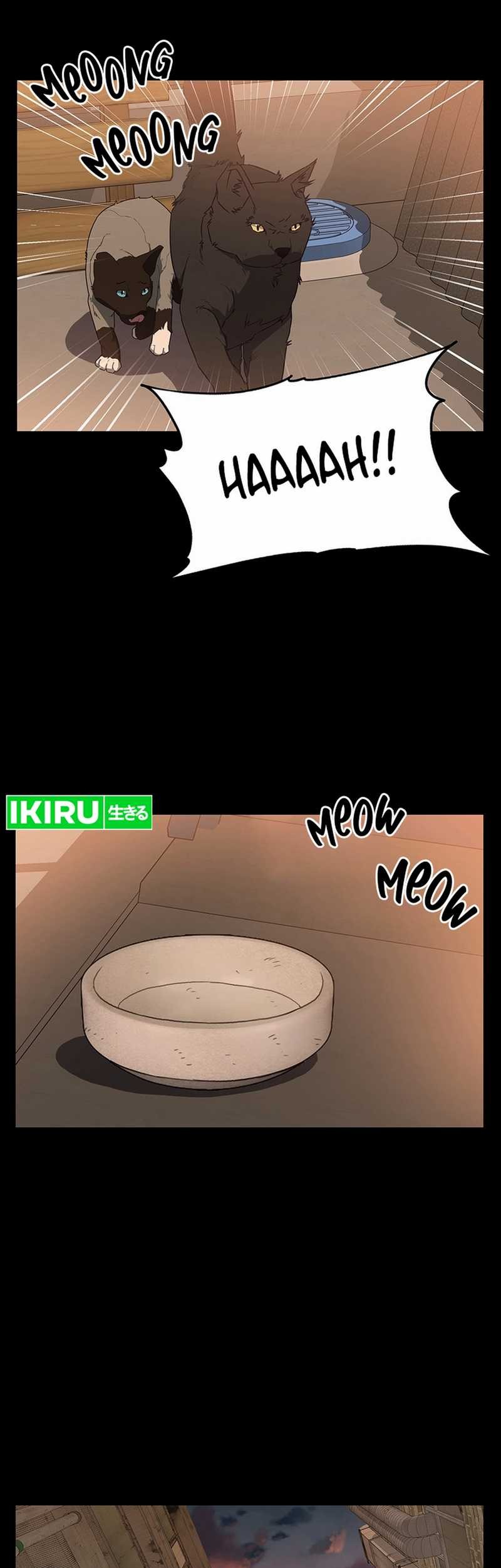 Rainbow Bridge Watchman Chapter 53 Gambar 14