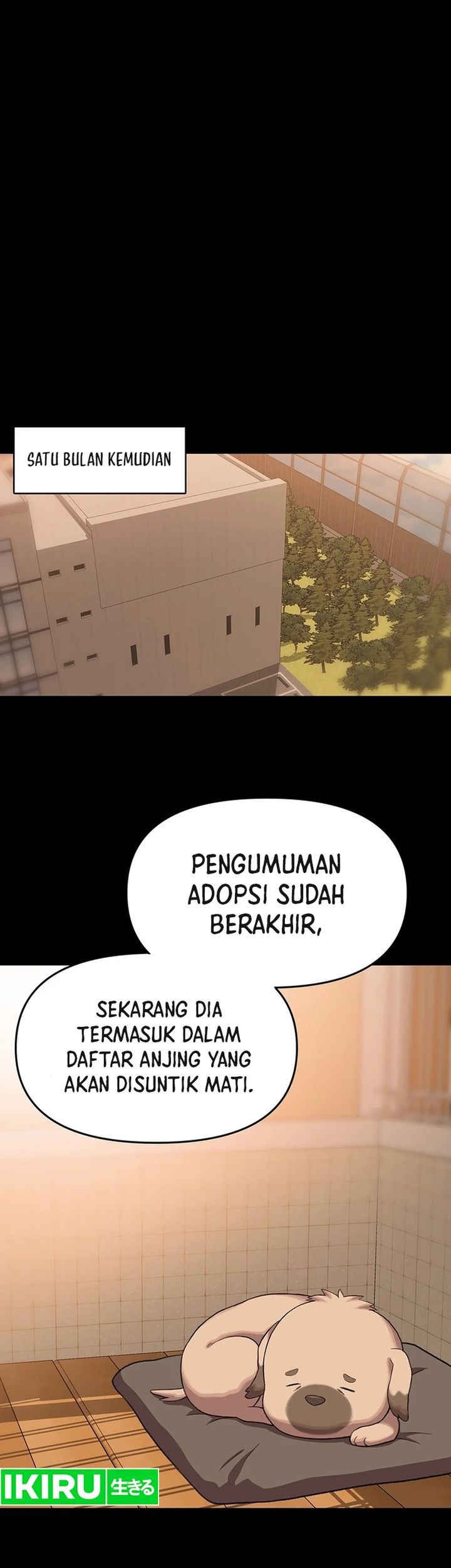 Rainbow Bridge Watchman Chapter 71 Gambar 79