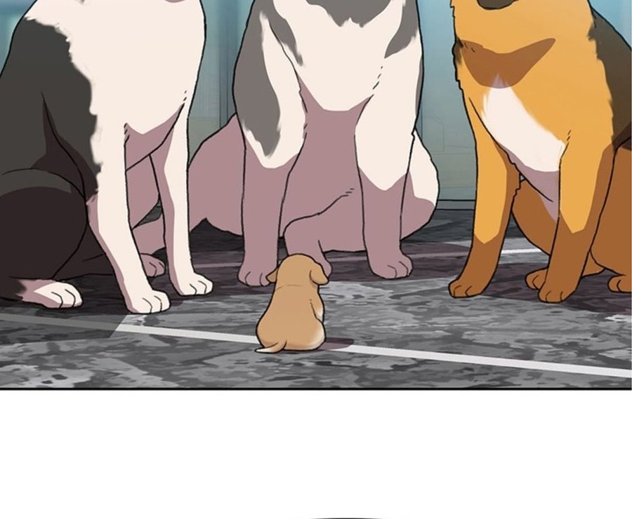 Rainbow Bridge Watchman Chapter 99 Gambar 8