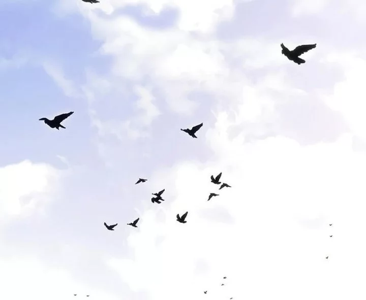 Regressing As The Reincarnated Bastard Of The Sword Clan Chapter 66 Gambar 25