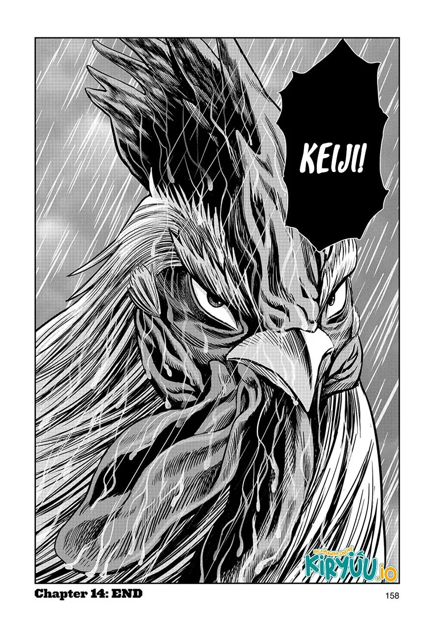 Rooster Fighter Chapter 14 Gambar 33