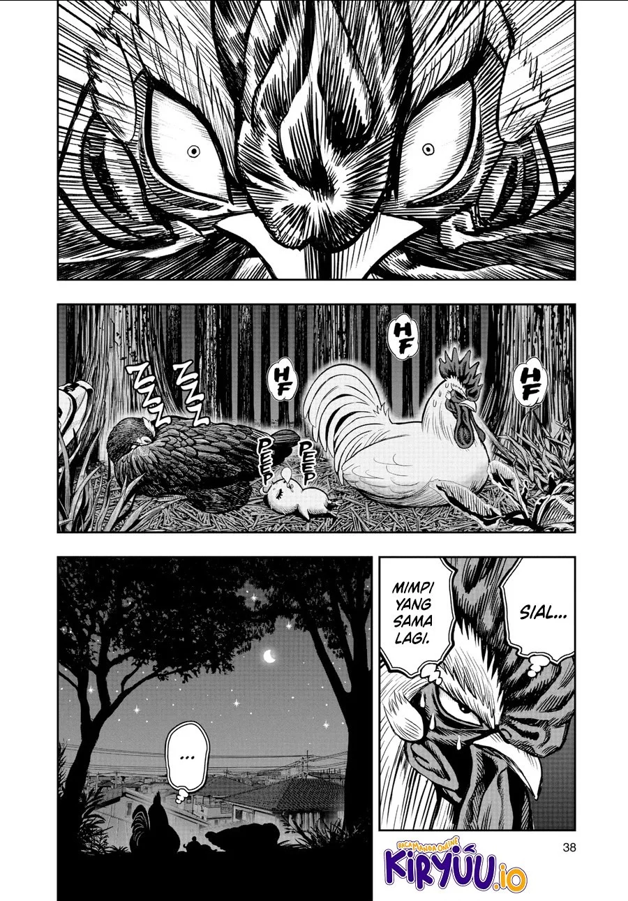 Rooster Fighter Chapter 17 Gambar 11