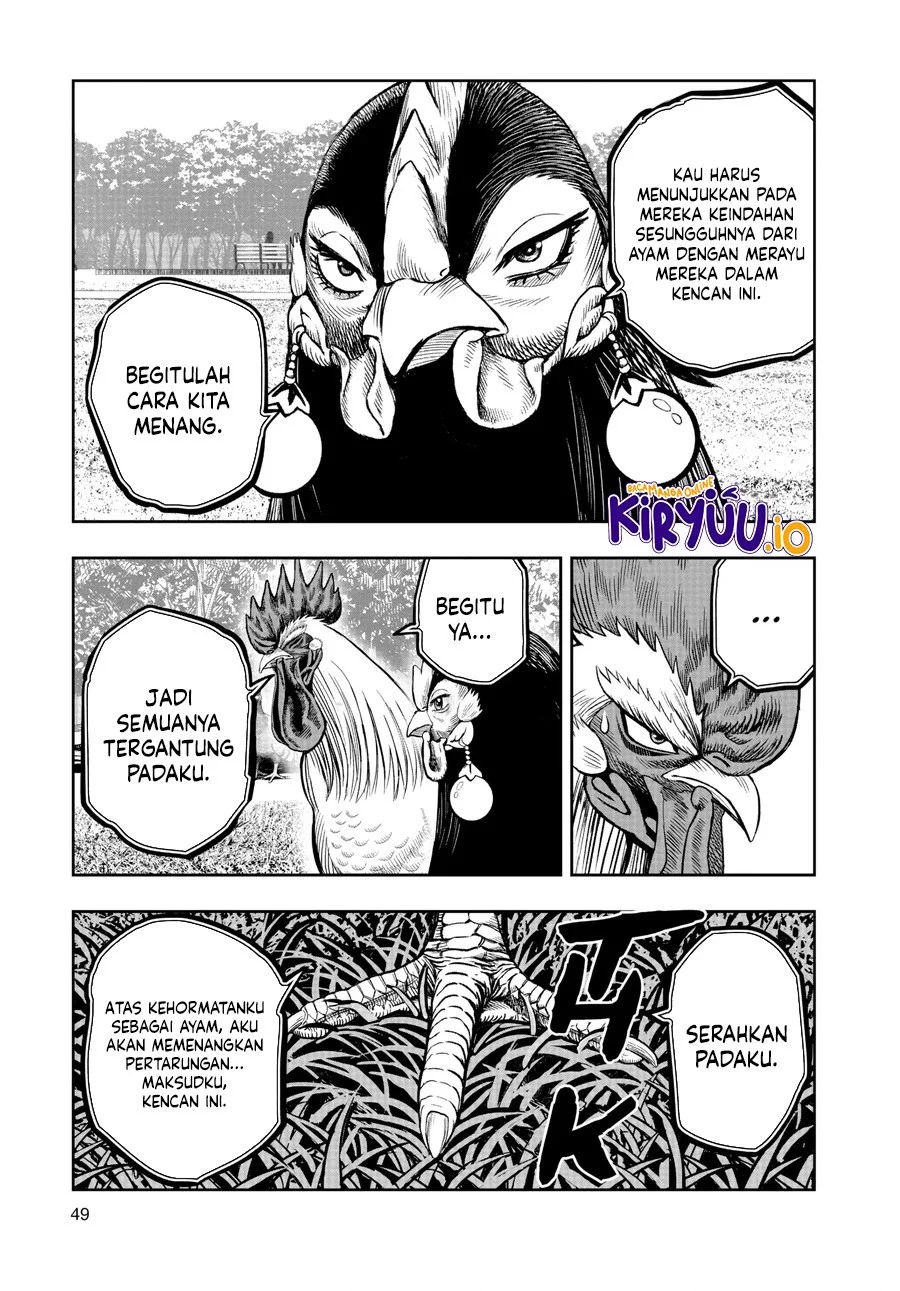 Rooster Fighter Chapter 17 Gambar 22