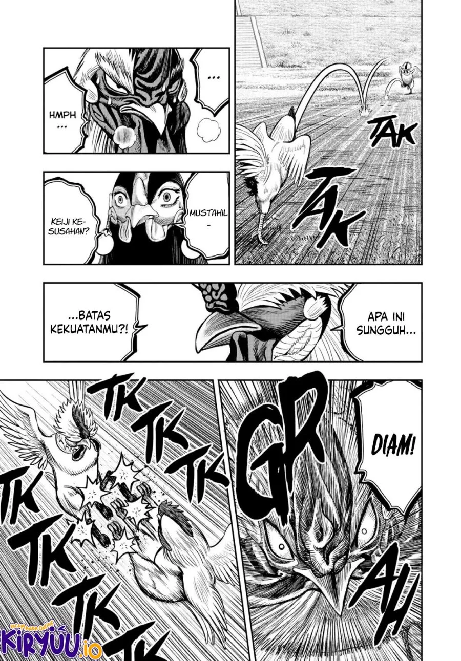 Rooster Fighter Chapter 19 Gambar 34