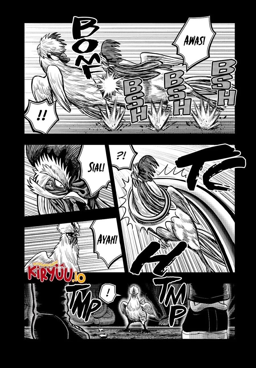 Rooster Fighter Chapter 20 Gambar 29