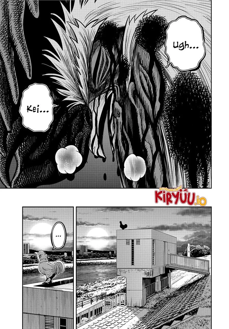 Rooster Fighter Chapter 20 Gambar 4