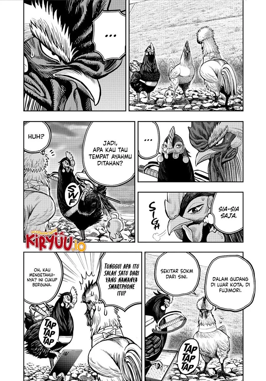 Rooster Fighter Chapter 20 Gambar 47