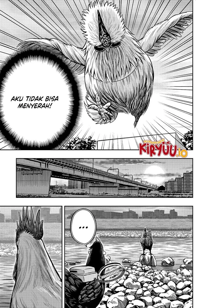 Rooster Fighter Chapter 20 Gambar 6