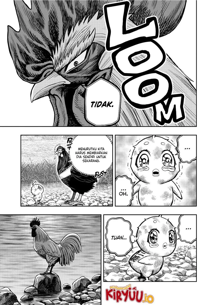 Rooster Fighter Chapter 20 Gambar 8