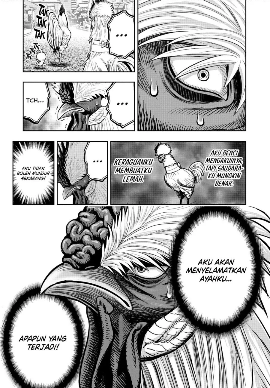 Rooster Fighter Chapter 21 Gambar 33