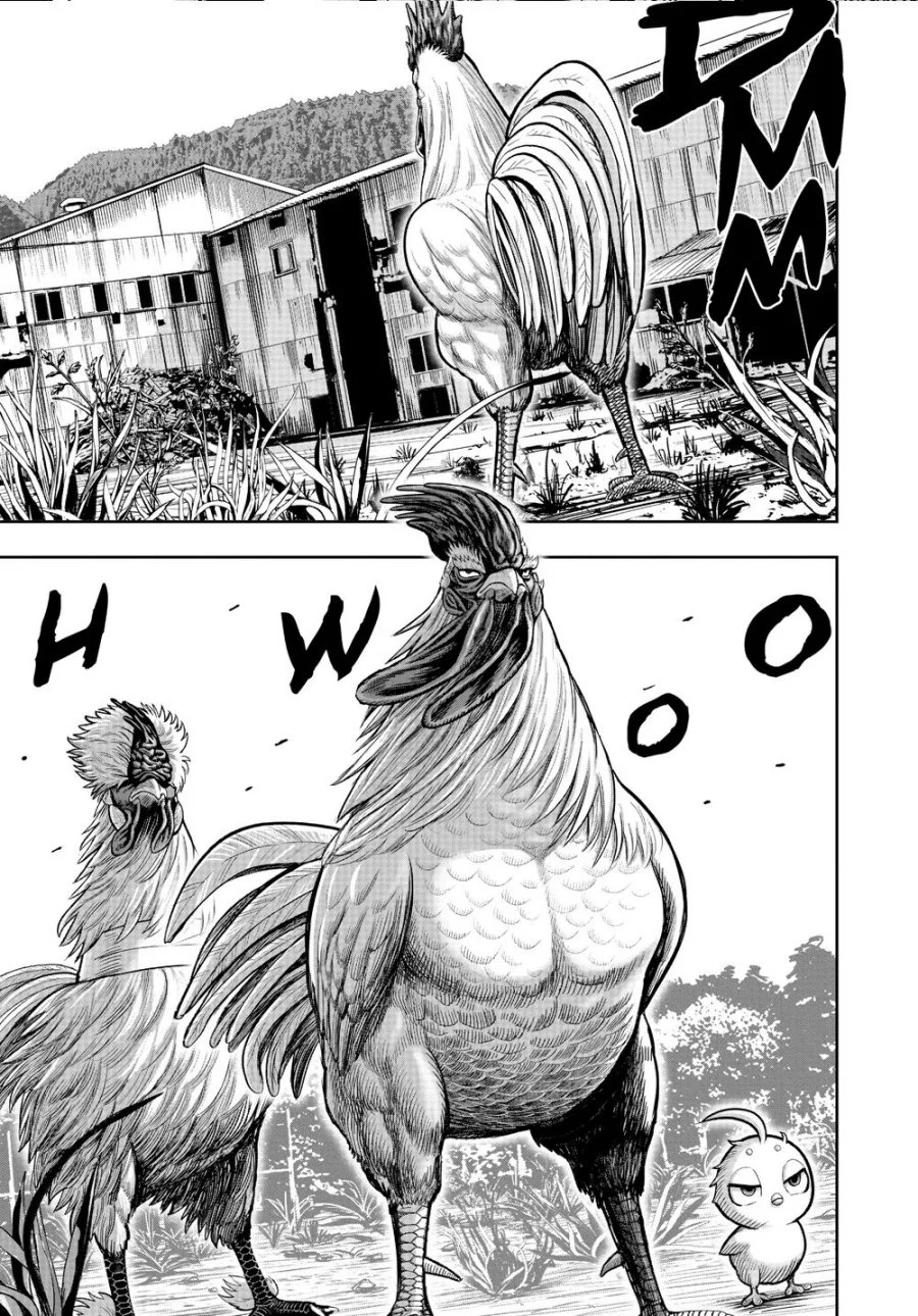 Rooster Fighter Chapter 21 Gambar 39