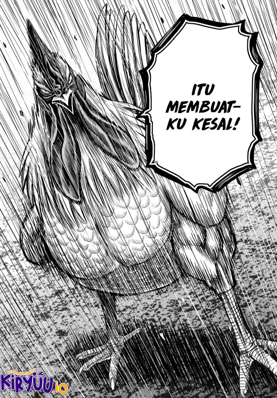Rooster Fighter Chapter 22 Gambar 14