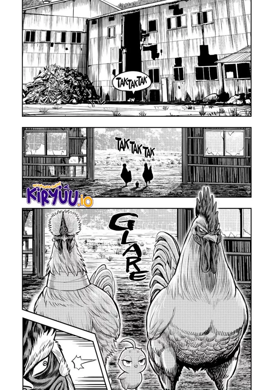 Baca  Rooster Fighter Chapter 22 Gambar 2