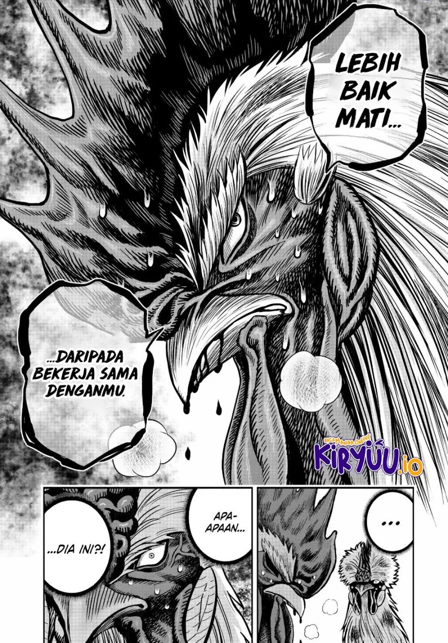 Rooster Fighter Chapter 24 Gambar 33