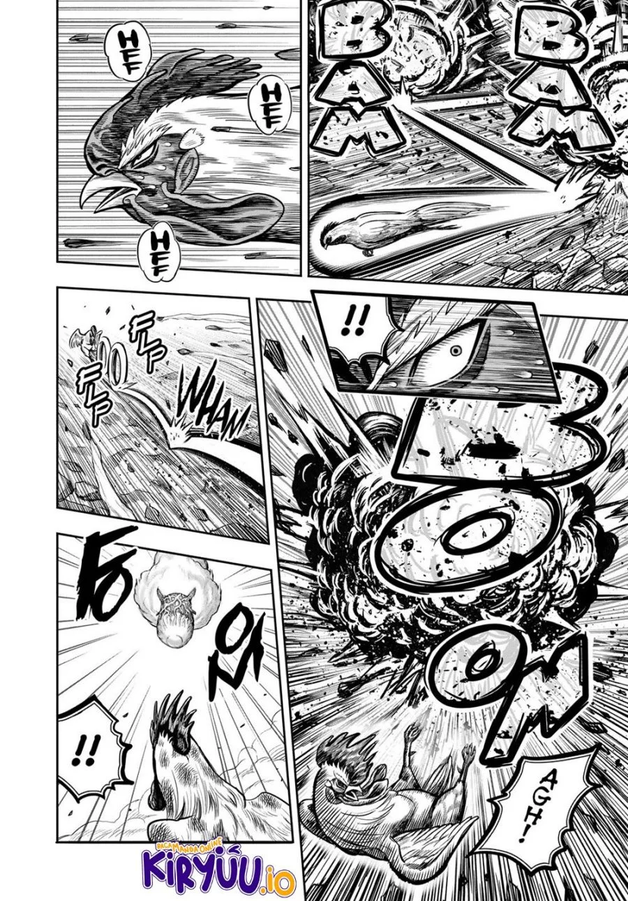 Rooster Fighter Chapter 25 Gambar 16