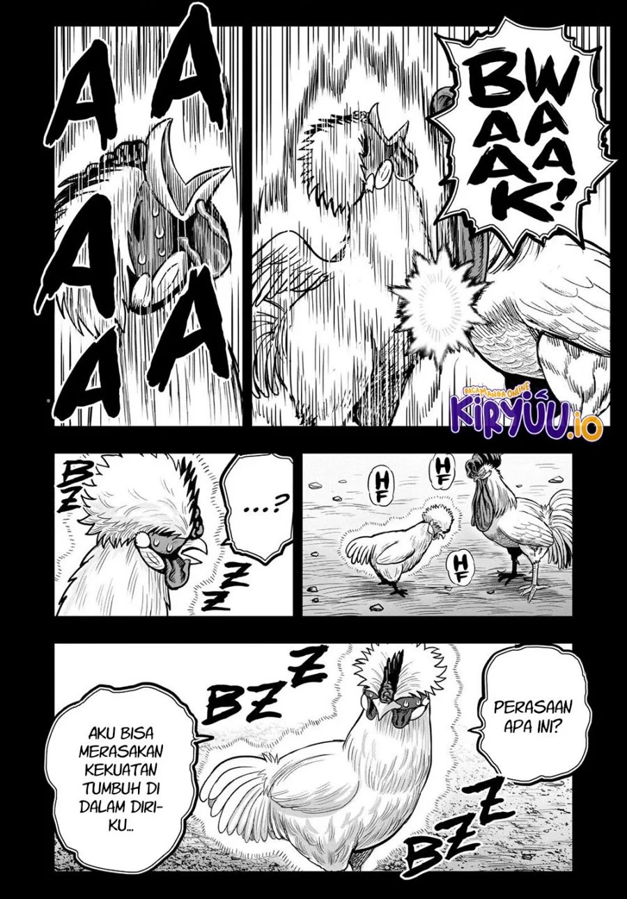 Rooster Fighter Chapter 26 Gambar 25