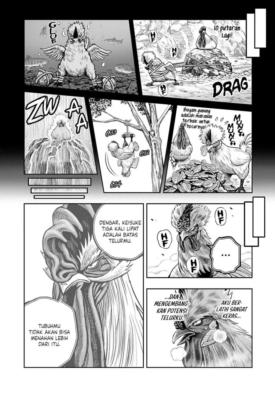 Rooster Fighter Chapter 26 Gambar 31