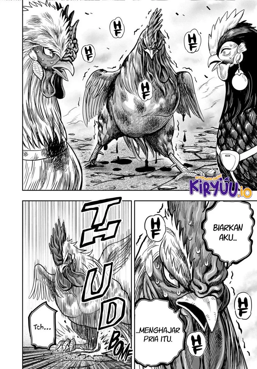 Rooster Fighter Chapter 26 Gambar 9
