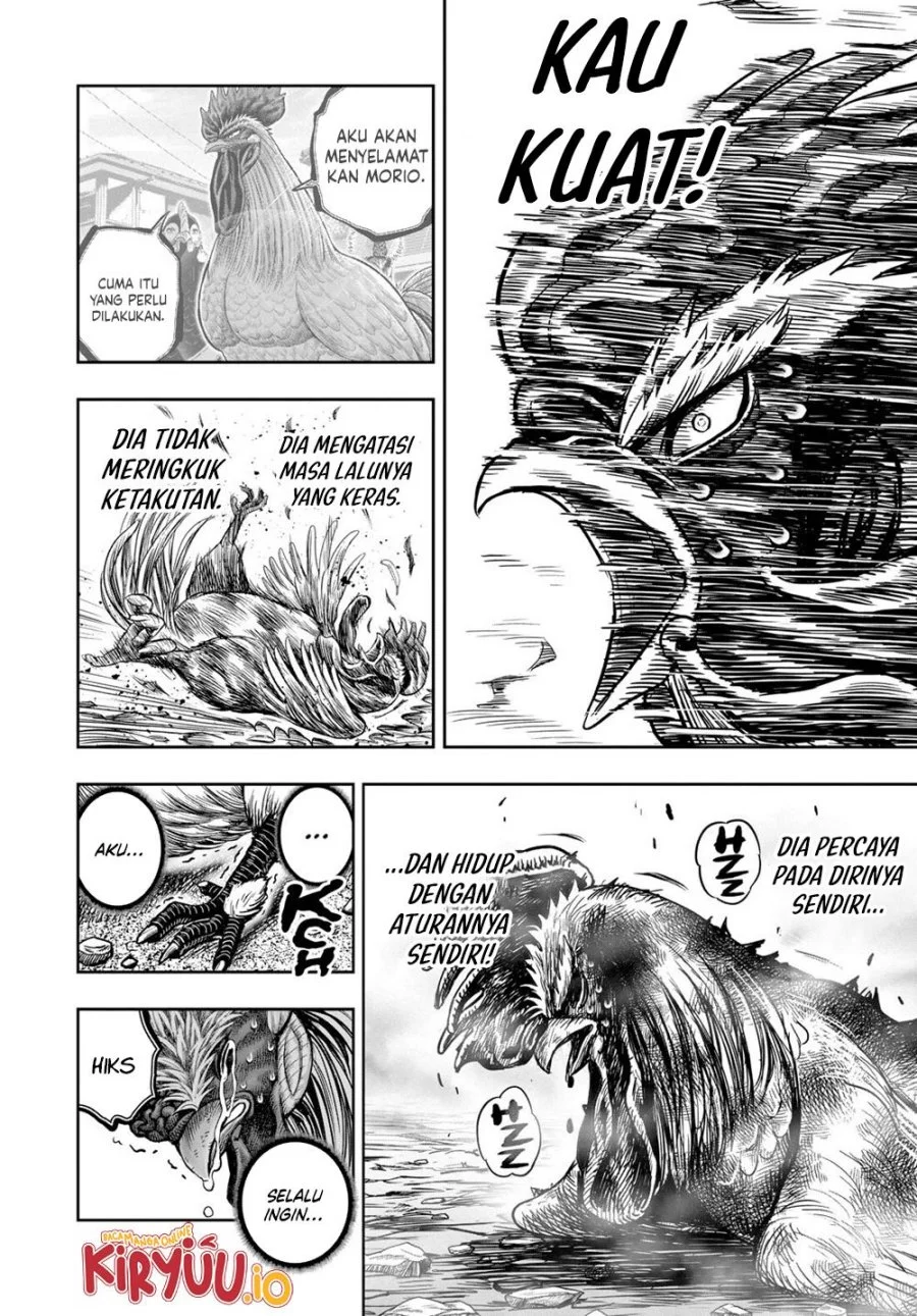 Rooster Fighter Chapter 27 Gambar 45