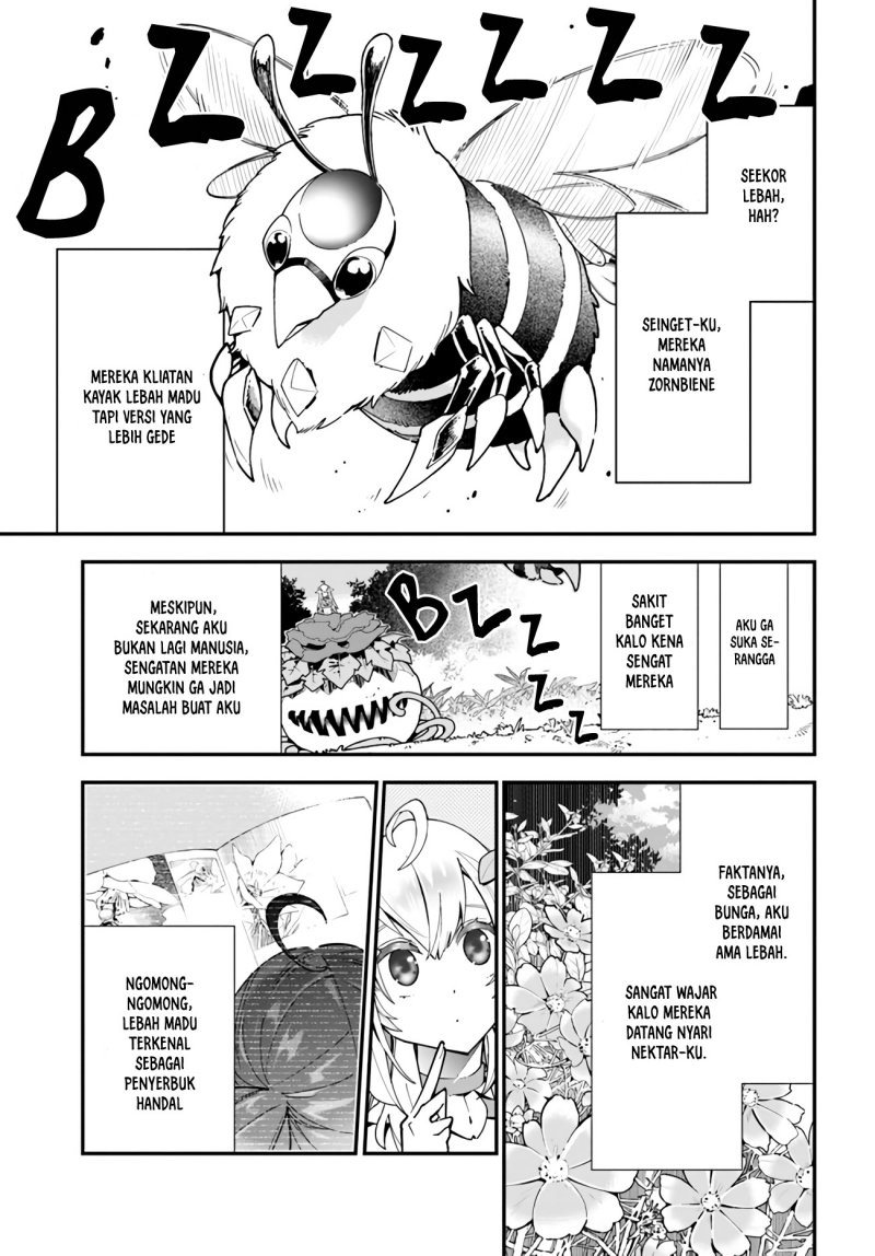 Shokubutsu Monster Musume Nikki Chapter 2 Gambar 10