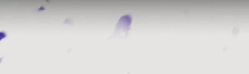 Skeleton Soldier Couldn’t Protect the Dungeon Chapter 347 Gambar 27