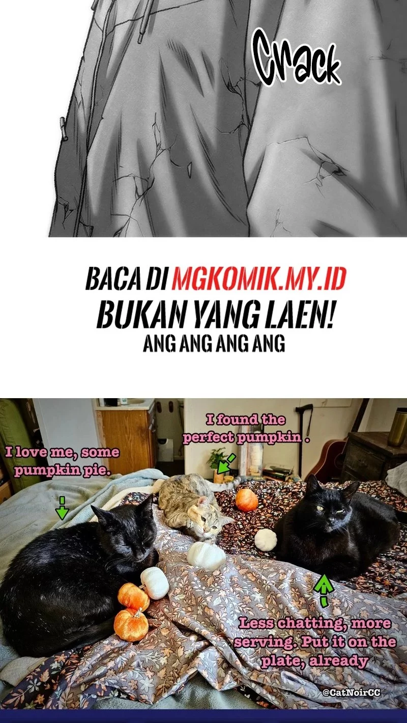 Star Ginseng Store Chapter 172 Gambar 64