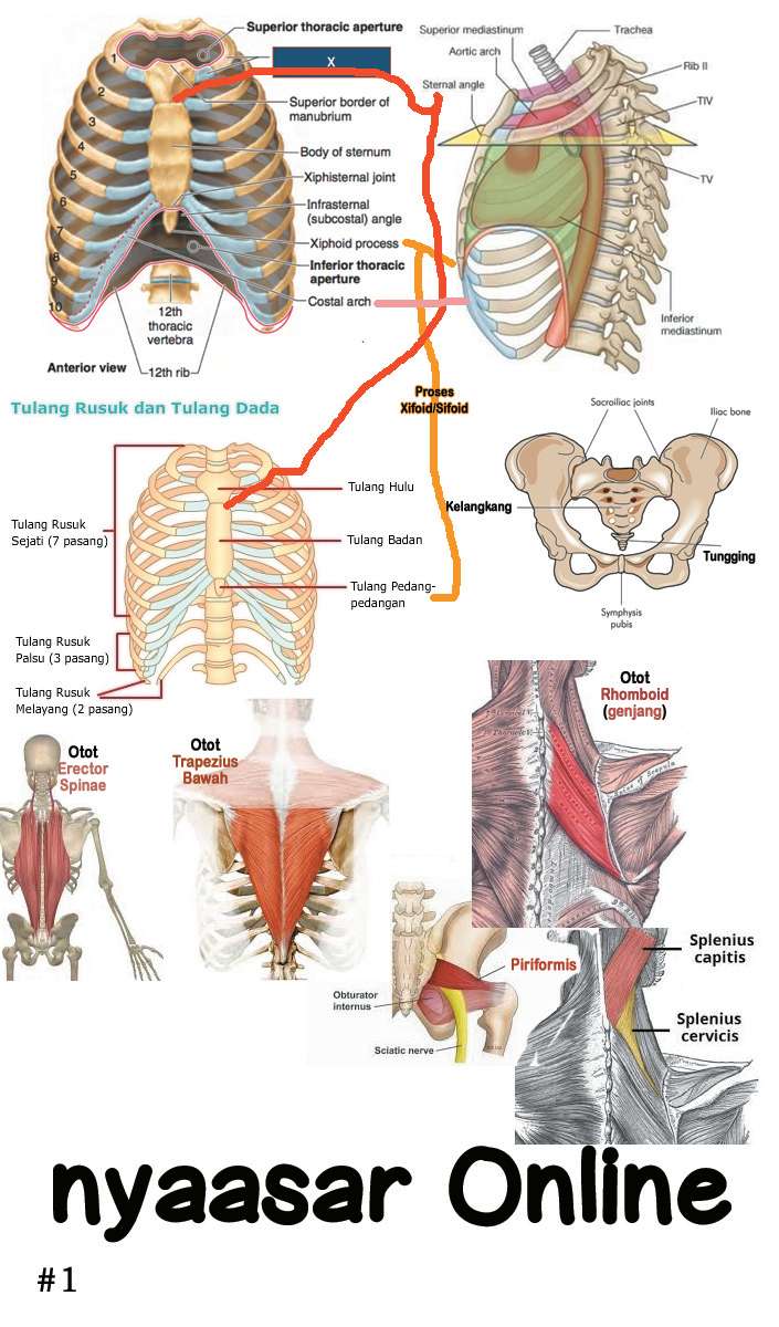 Stretch Chapter 16 Gambar 11