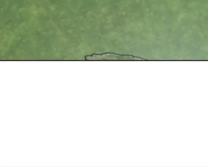 Superstar From Age 0 Chapter 72 Gambar 56