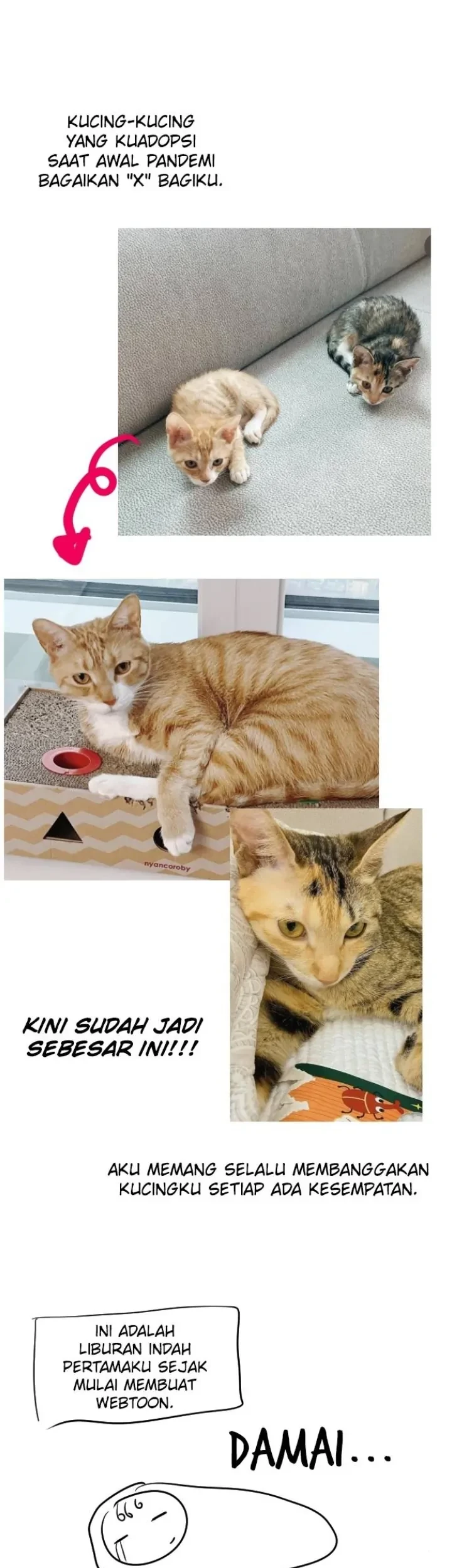 Survive Romance Chapter 101.5 Gambar 15