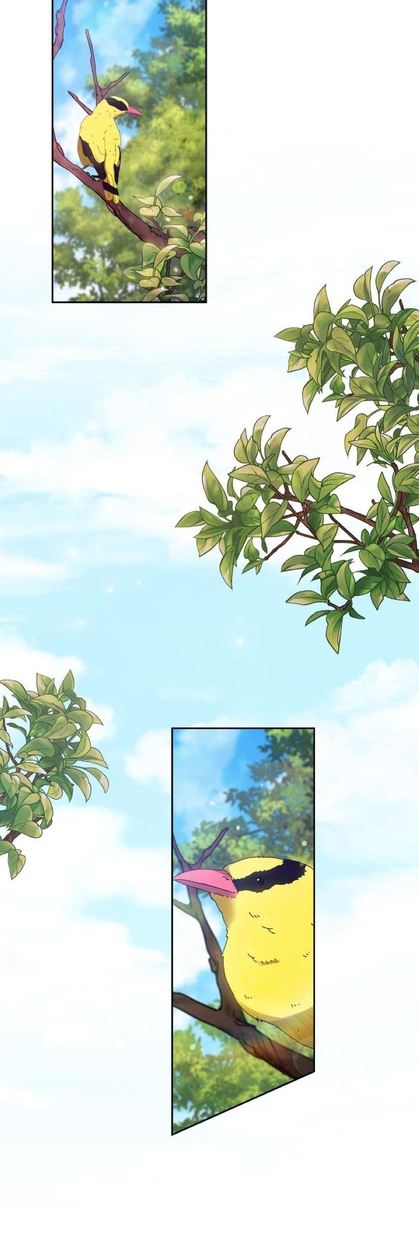 The Broken Ring: This Marriage Will Fail Anyway Chapter 31 Gambar 49