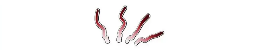 The Congressman Gives Me Good News! Chapter 39 Gambar 69