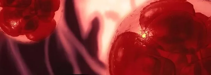 The Crown Prince That Sells Medicine Chapter 78 Gambar 61