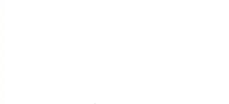 The Demon in Human Form Chapter 15 Gambar 4