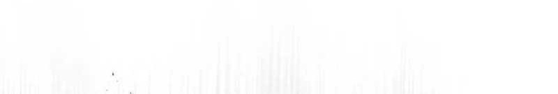 The Eldest Son of the Marquis House is a Martial Artist Chapter 15 Gambar 13