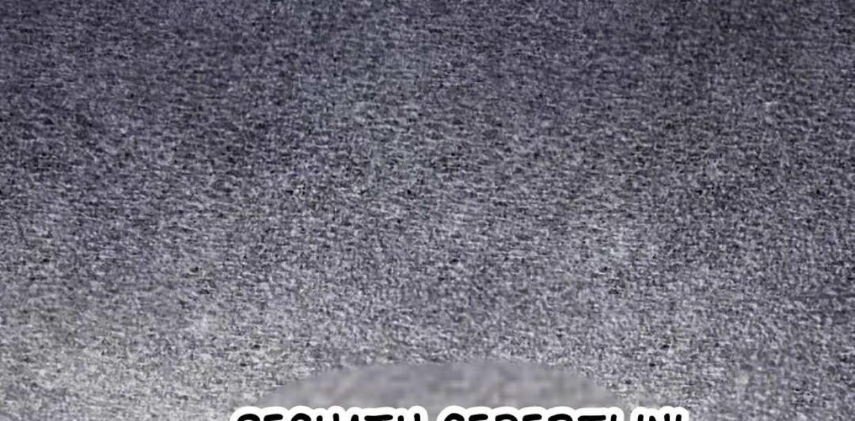 The Extra Decided to be Fake Chapter 8 Gambar 189