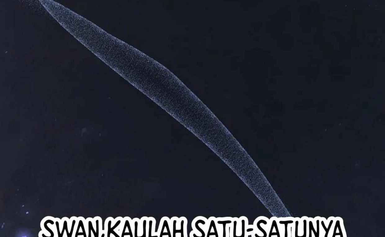 The Extra Decided to be Fake Chapter 8 Gambar 226